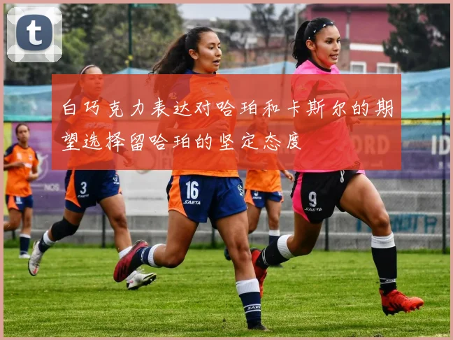 白巧克力表达对哈珀和卡斯尔的期望选择留哈珀的坚定态度