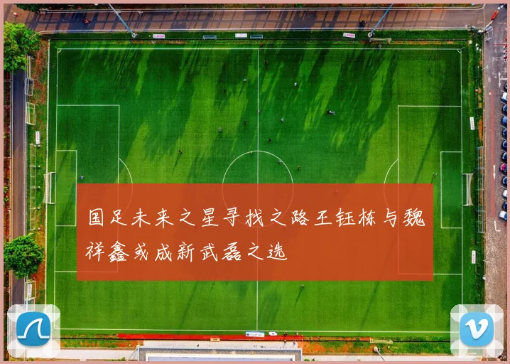 国足未来之星寻找之路王钰栋与魏祥鑫或成新武磊之选